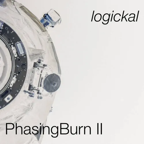 Phasing Burn II cover image